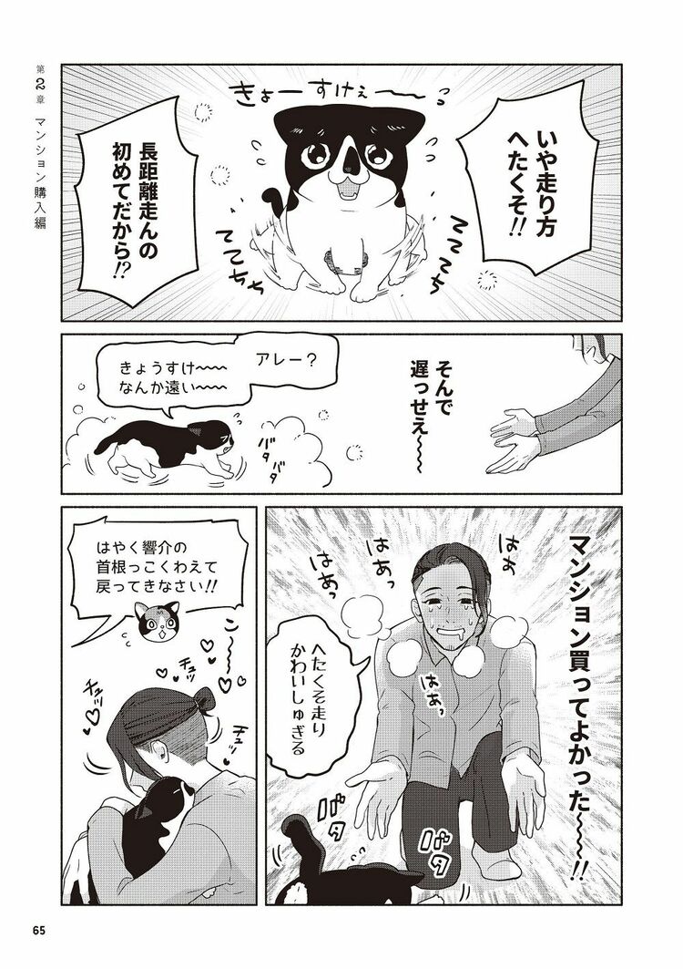 猫マスターと猫好き漫画家が対談。猫が快適に暮らせるように