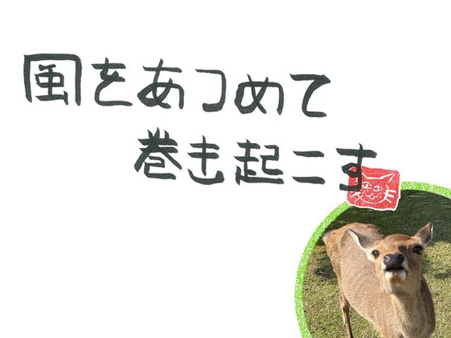 第26回　風のサプライズ