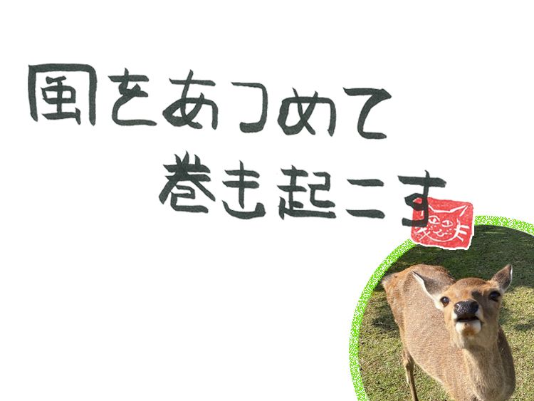 第26回 風のサプライズ