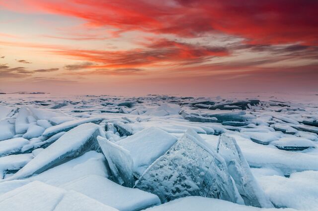難民が凍死してしまう…。極寒の地から多くのユダヤ人を救出した男