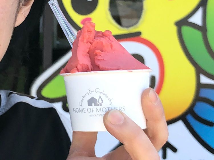 「道の駅」スペシャリストが見つけた千葉の変わり種ジェラート