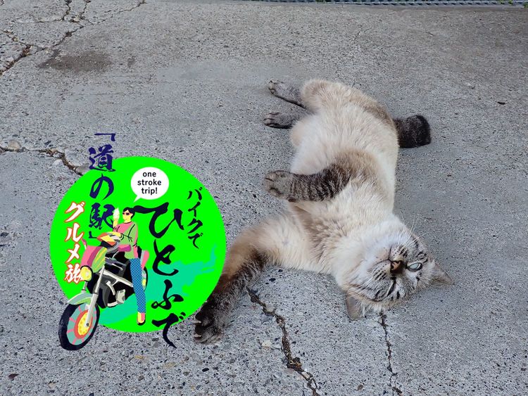 オンネトー、クマヤキ…。北海道の大自然とグルメを堪能したバイクキャンプ旅