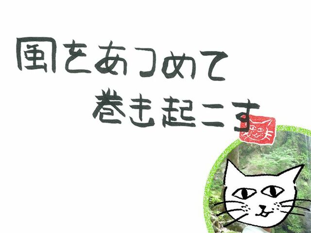 第113回　風が吹き込む