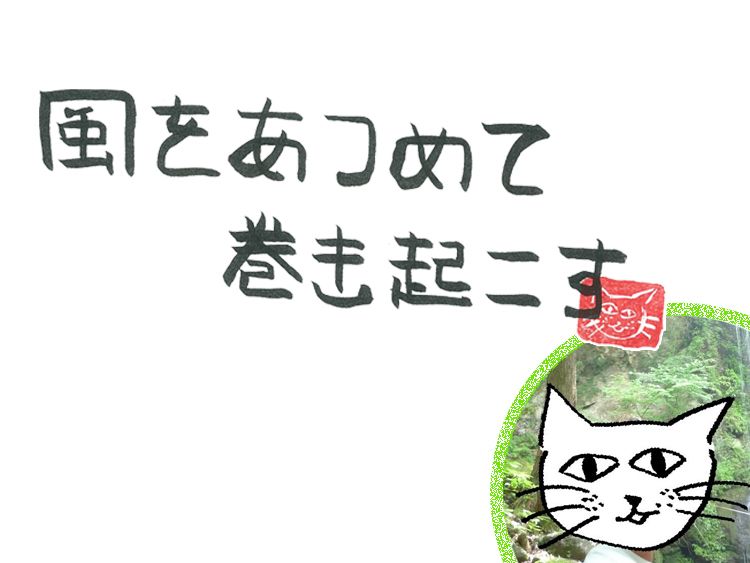 第113回 風が吹き込む