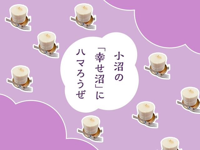 いつかの夏の思い出