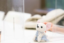 ▲ぬいぐるみの名前は保坂チワ