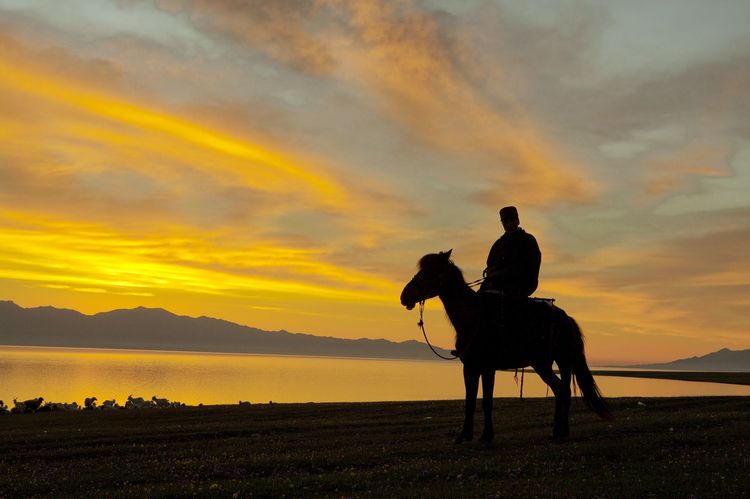 福島香織×ムカイダイス「時がきたら勝ち負けに関係なく立ち上がります」