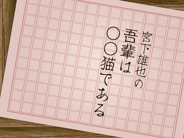僕が飼ってる猫を紹介します