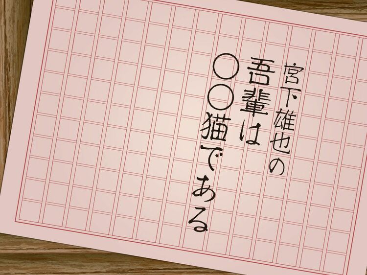 僕が飼ってる猫を紹介します
