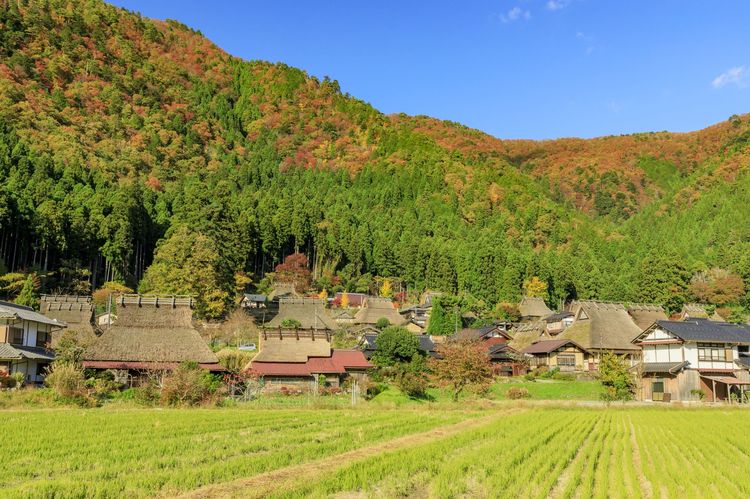 「美山かやぶきの里」京阪神から“半日で帰って来られる”おすすめスポット