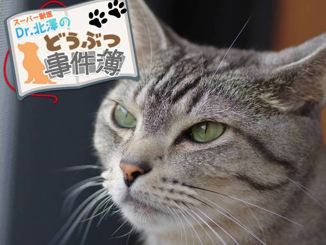 “第三の目“がある？ 摩訶不思議な機能を持つ動物の神秘