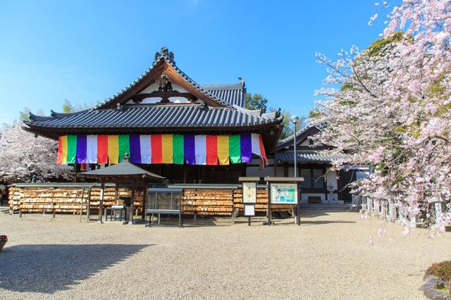 『呪術廻戦』に出てくる呪術高専は実在した!? 藤原氏に仕えた陰陽師たち