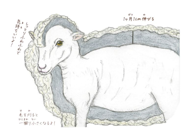 羊はなぜフワフワなの？」 動物にまつわる素朴な疑問３選(2/2) | WANI ...