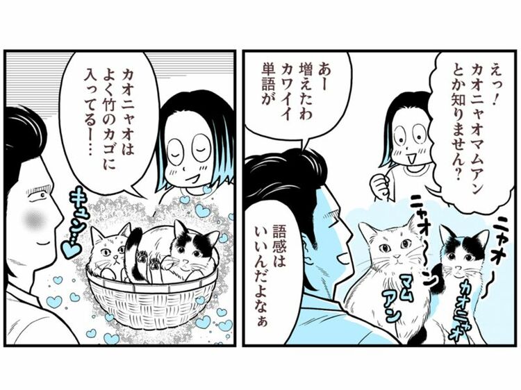 噛むほど楽しい新食感！ タイのもち米「カオニャオ」で作った絶品チャーハン