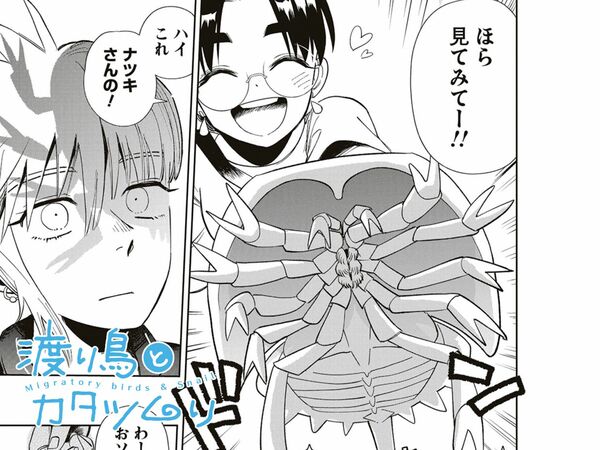 渡り鳥とカタツムリ