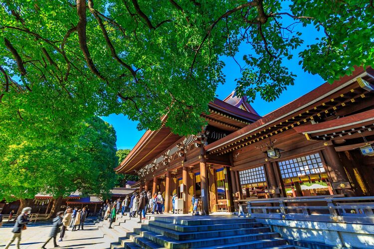 大正~昭和~平成~令和。荒地から100年かけて造られた明治神宮の森