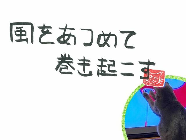 第51回　風のオリンピック